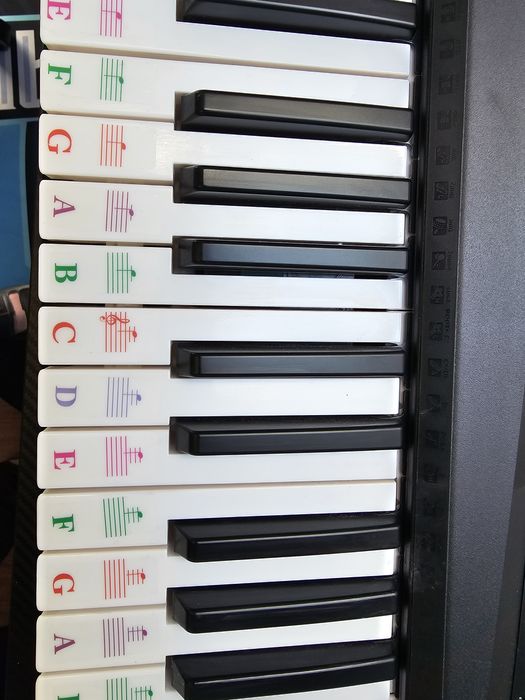 Yamaha EZ-220, orga electronica