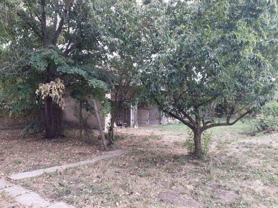 Куща в село Тръстика, 16 км от гр. Разград