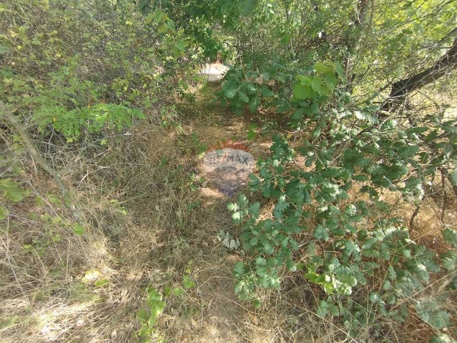 Парцел в м-т Манастирски рид