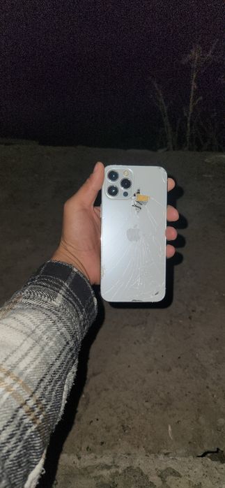 iphone 12 pro max