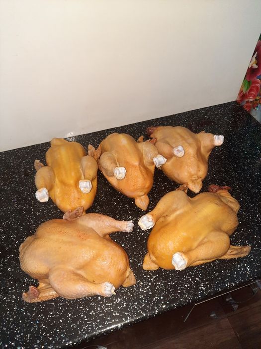 Мясо домашнего бройлера