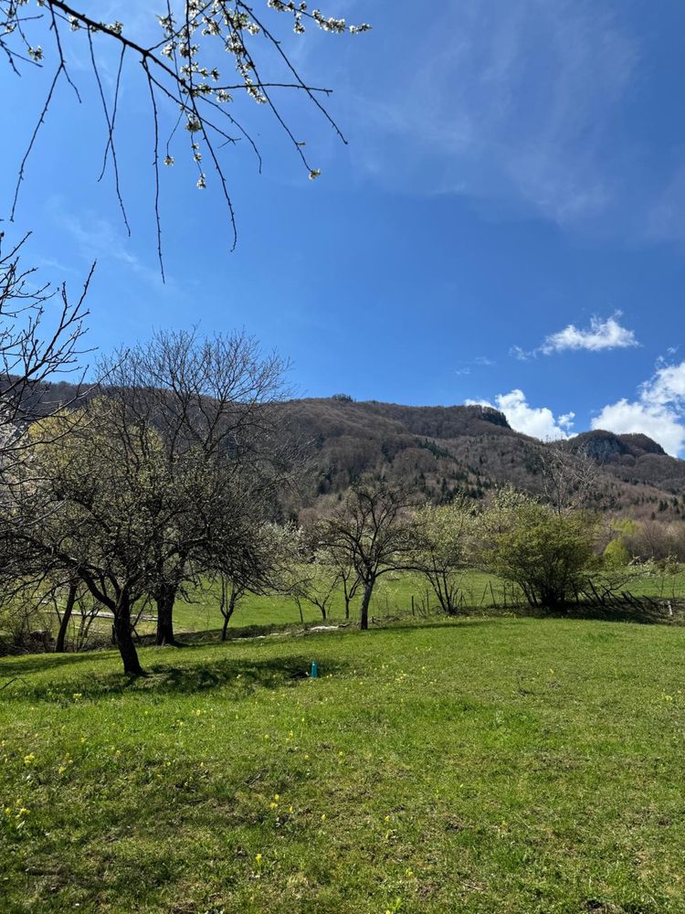 Teren la munte Bran Predelut - Via Transilvanica