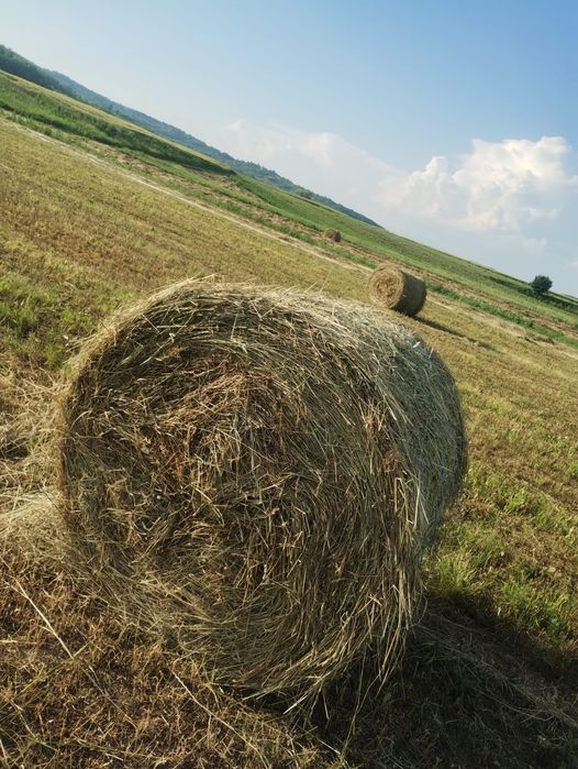 Baloti prima coasă 120/120