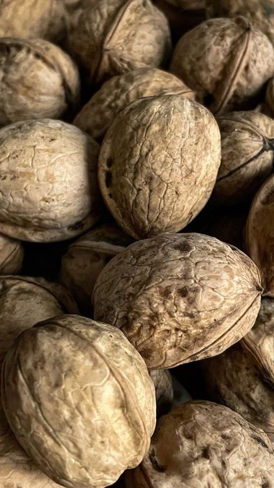 Продам Грецкий орех