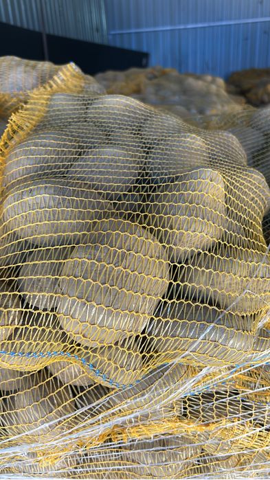 Cartofi consum alb si rosu