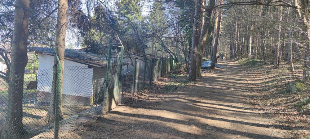 Продава се Парцел в София, Бояна - 18000 кв.м за 5 €/кв.м - Снимка #10