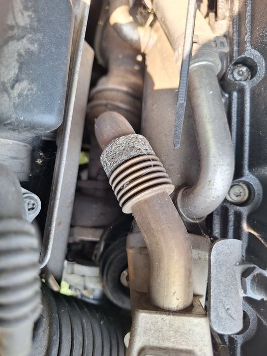 Racitor gaze audi s 4 b7 2.0tdi