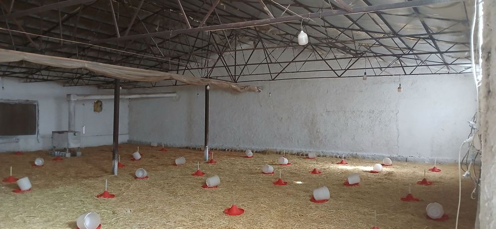 50 sotix yer va tayyor molxona — 140 000$