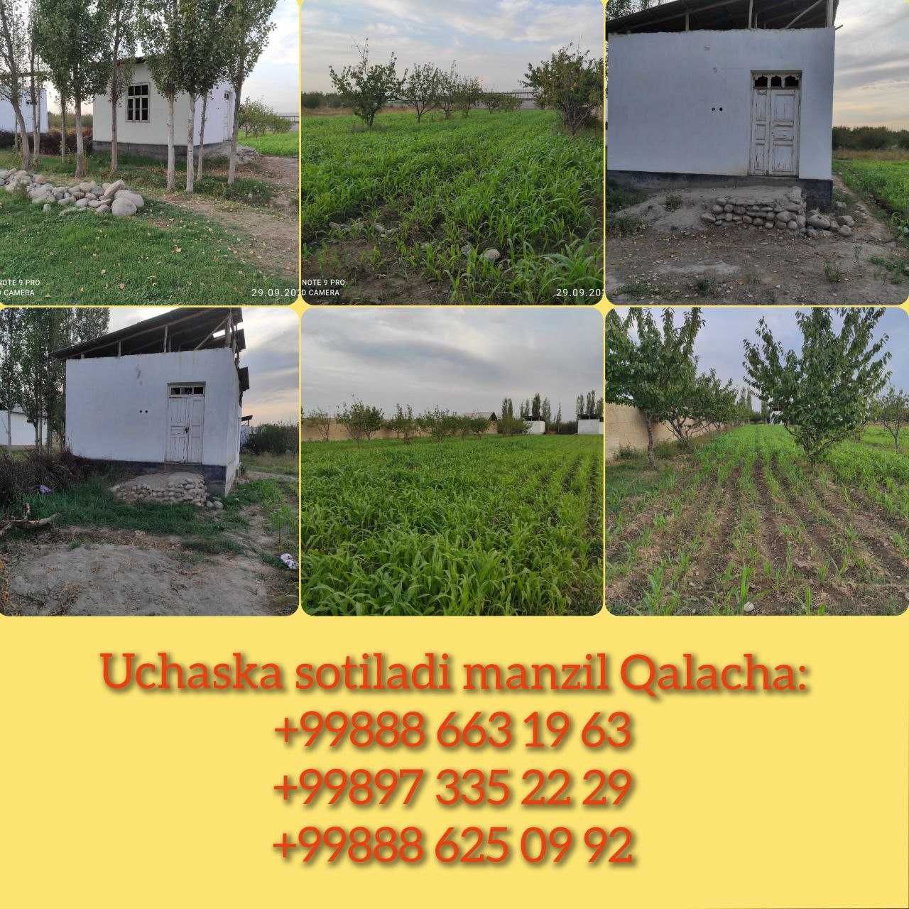 Uchatka sotiladi