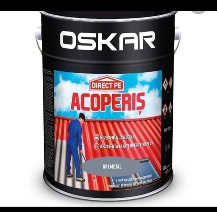 Vopsim acoperis Reparatie  Acoperise de orice tip
