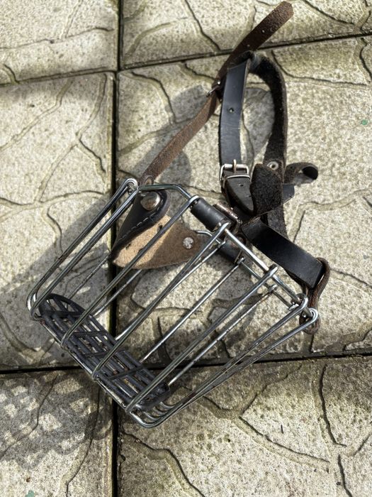 Vand Botnita pt Caine Stare Perfecta