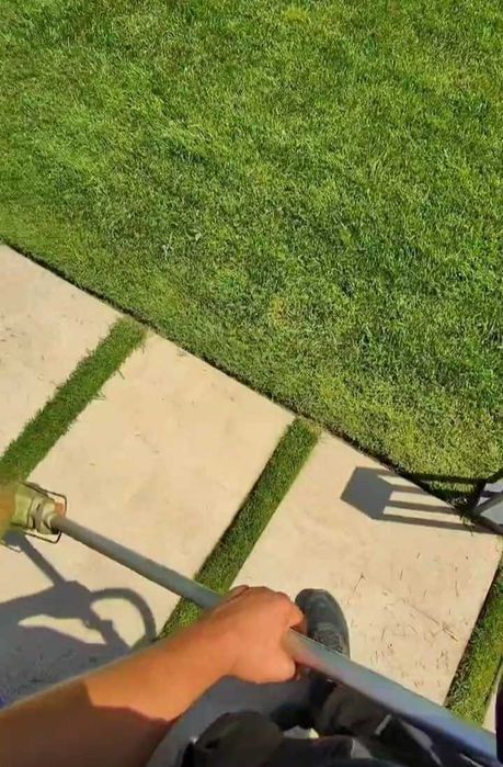 Посадка растений. Уход газонов.