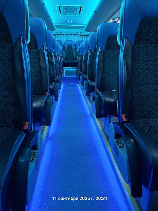 Yutong karatish 31+1