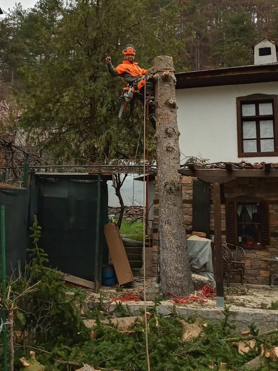 Рязане на опасни дървета арбористи алпинисти кастрене премахване