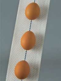 Конвейерная лента яйцесбора для птицефабрик