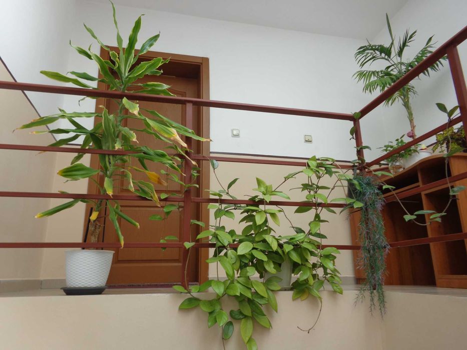 Sony Cyber-shot DSC-W730 16.1 МРх