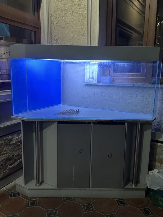 Akvarium sotiladi xolati zoʻr xamma narsasi bor baliq filter toshlari