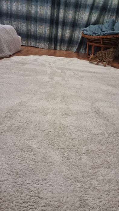 Ковры в зал 300×200