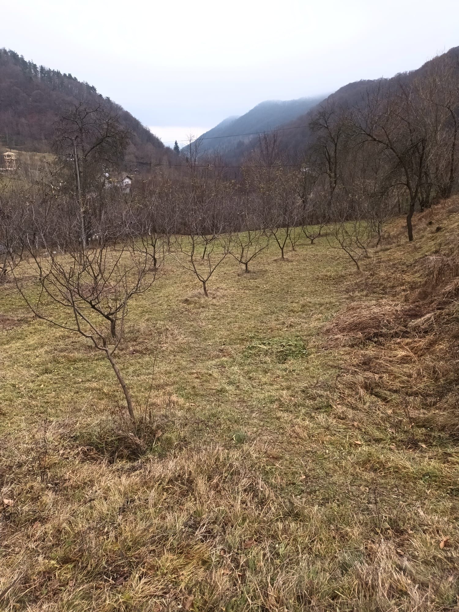 Vand teren in Baile Olanesti