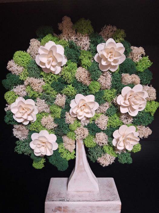 Copac licheni stabilizați