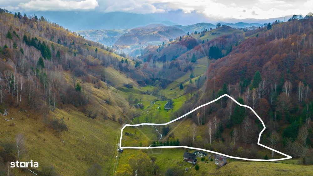 COMISION 0% Teren 8013mp Moieciu de Jos / Strada Valea cu Calea