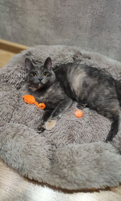 Очаровательная лапотулька-красотулька-Стеша! В самые ЛЮБЯЩИЕ РУЧКИ!