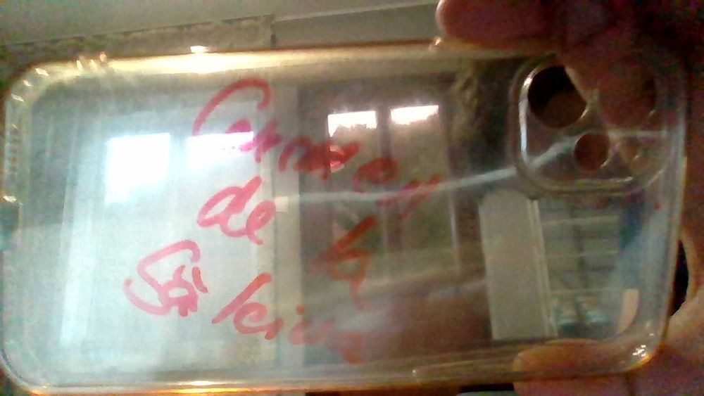 husa hipone 11 semnata de carmen de la salciua