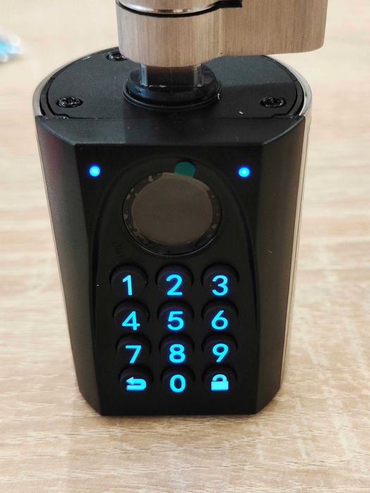 WELOCK ToucA51 Pro Smart Lock Cylinder