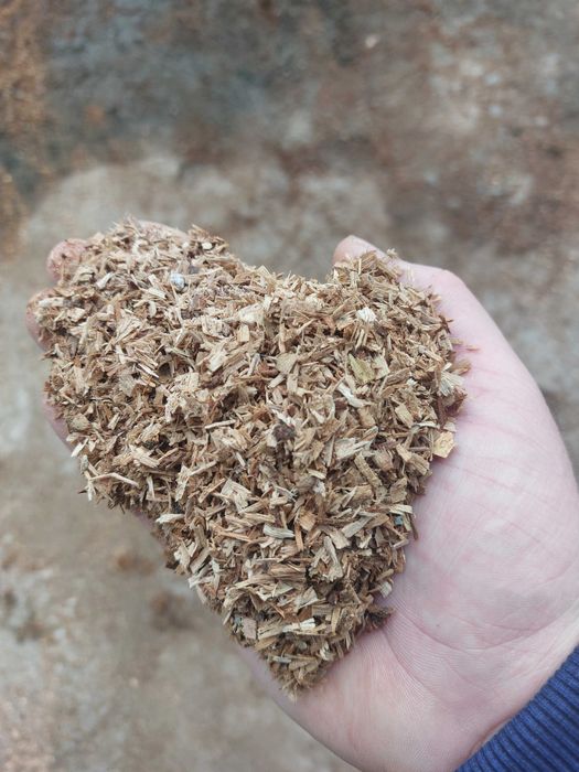 Стърготина дъбова от моторна резачка.