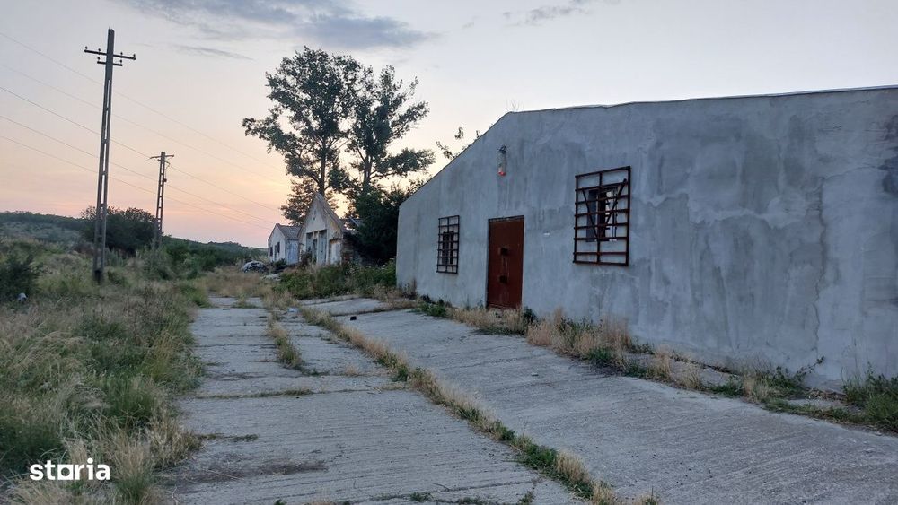 Hale industriale, 7000 mp, Pielesti