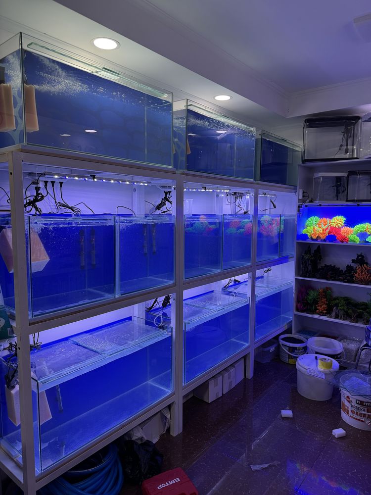 Akvarium Doʻkoni Mirobot tumani