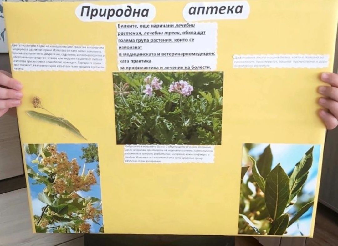 Изработване на проекти от 1 да 7 клас