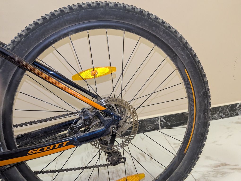 Scott aspect 2021