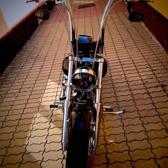 Titan Roadrunner (Harley Davidson)