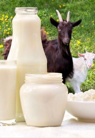 Lapte de capra natural