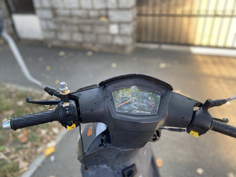 Scuter kisbee 2019