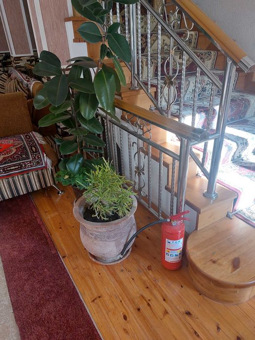 Хостел, семейный гостевой дом