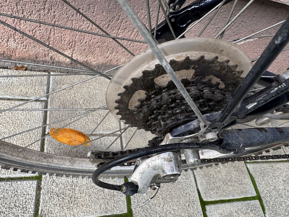 Bicicleta barbateasca