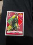 Mane extra sticker panini legend