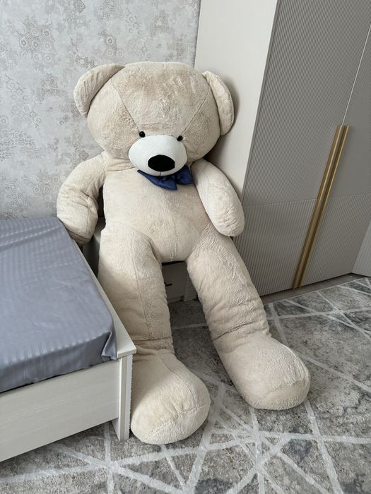 мишка оте жаксы жагдайда молочный цвет