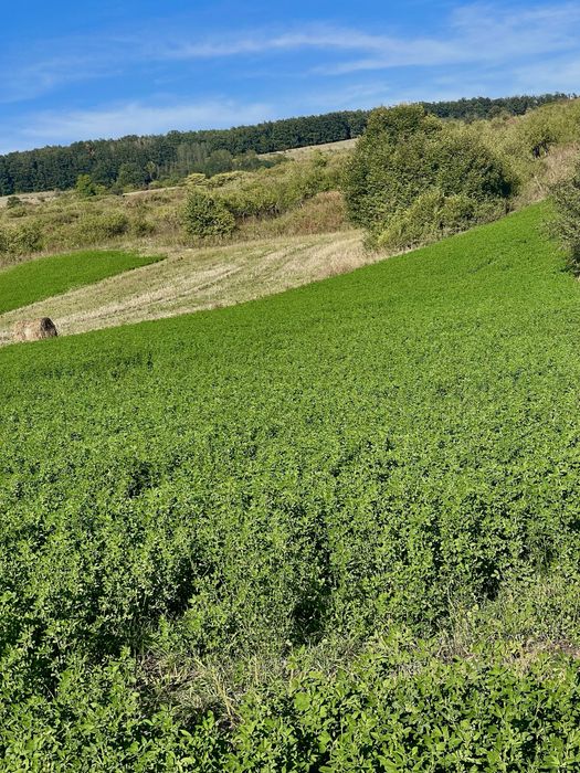 2800m2 teren cu deschidere la DN Bocsa (Salaj)