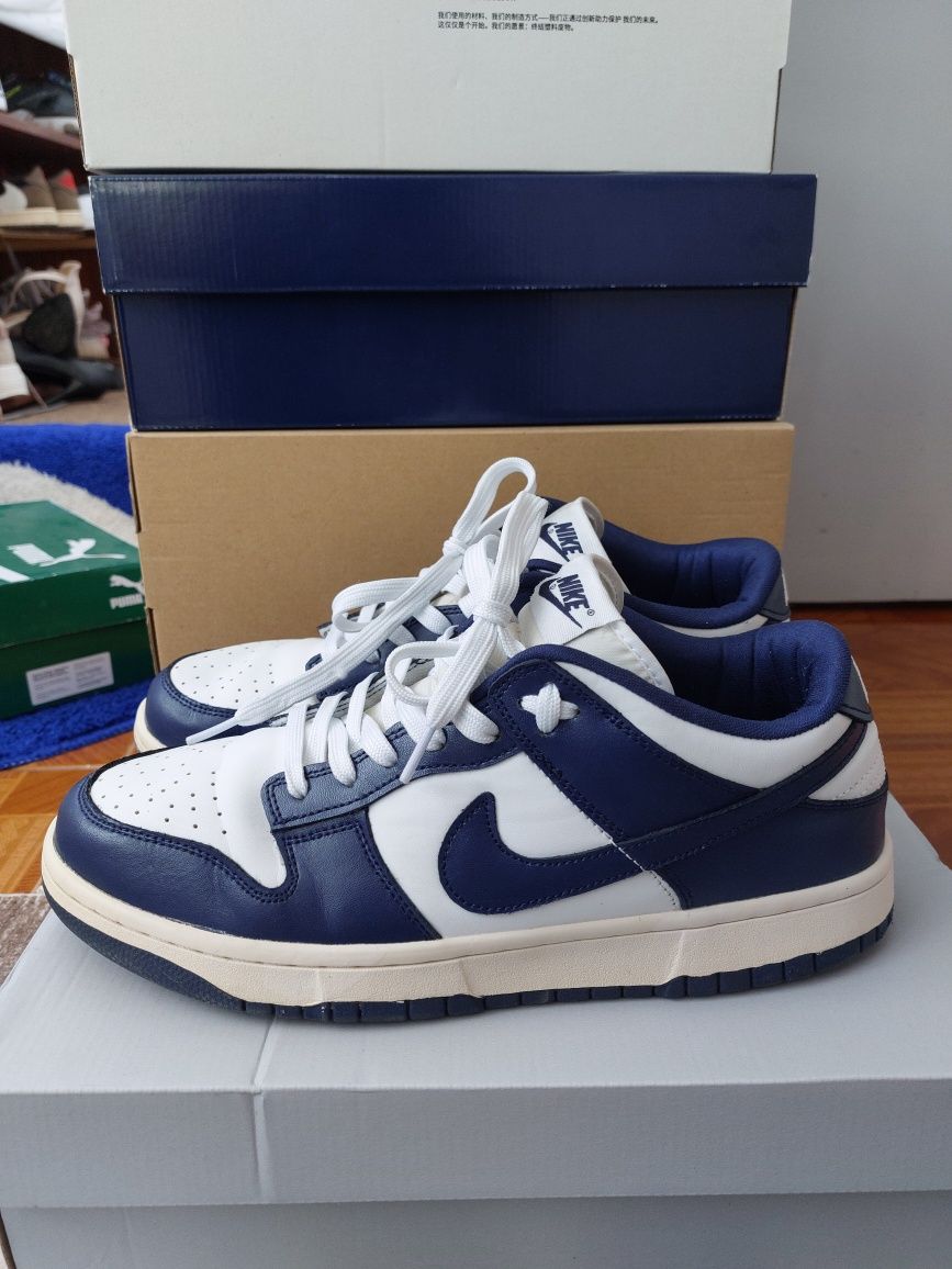 Nike dunk   (45)