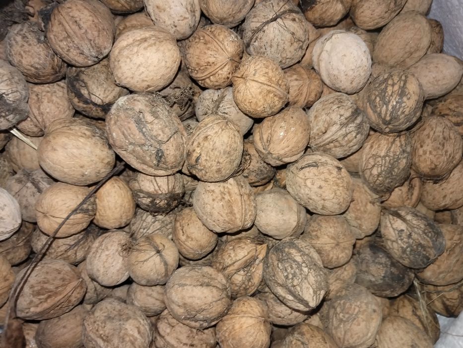 Nuci de vânzare bio