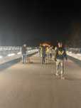 Dresaj canin K9Team