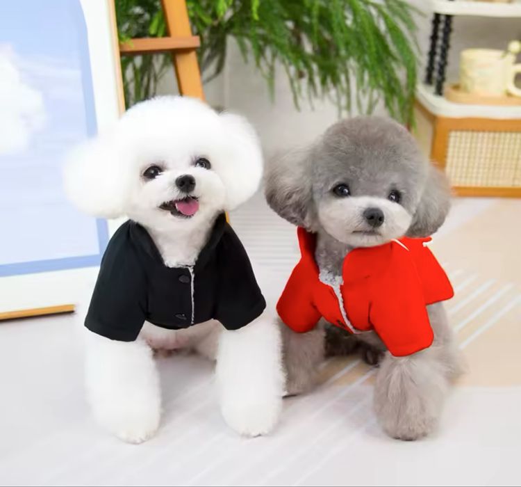 Кучешка дрешка, елече, гащеризон