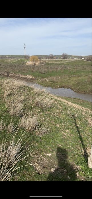 Фазенда,Откорм База , Бордакыга кора сатылады .