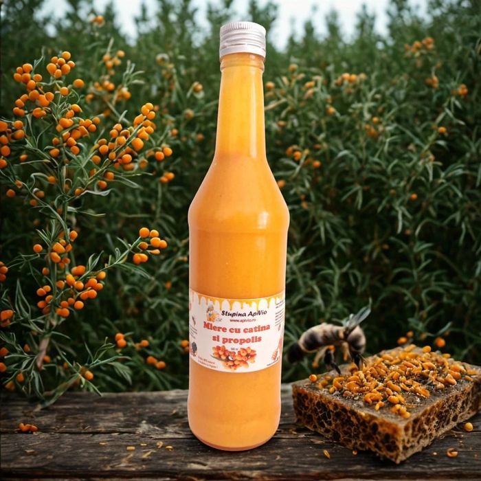 Sirop de catina cu miere si propolis