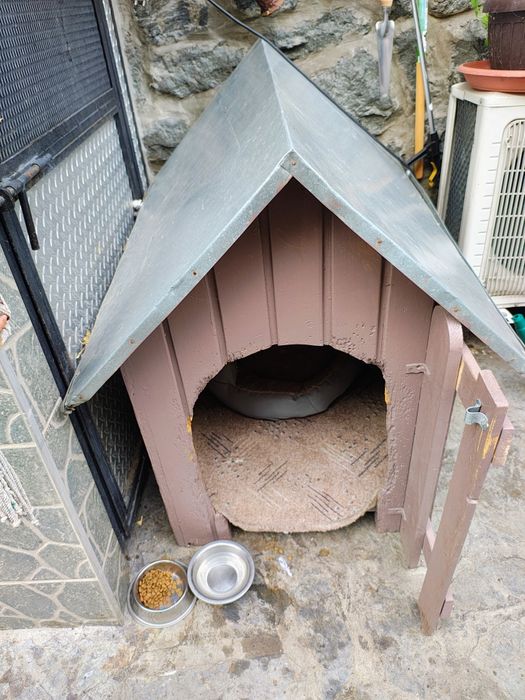 Casa de lemn pt cățel