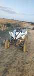 Vand atv Bashan 250cc 4+1