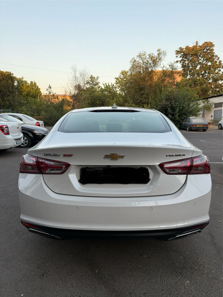 Malibu premier 2020